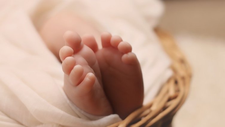 Снимка: Pixabay