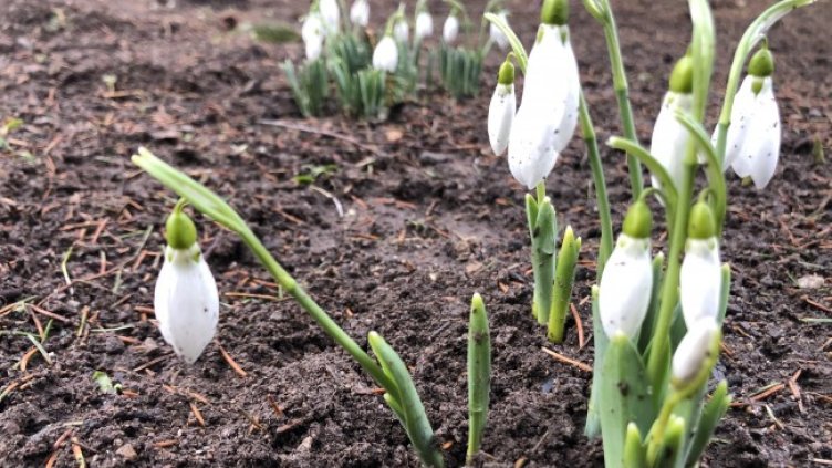 Затопля се, до 9 градуса максимални температури днес