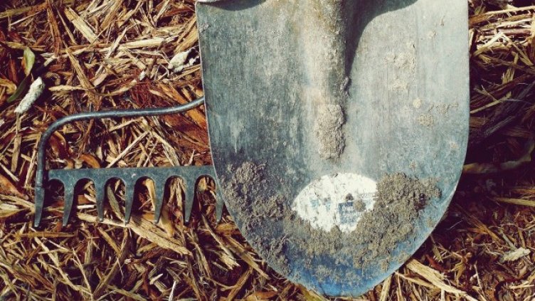 Снимка: Pixabey