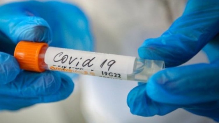 Снимка:Димитър Кьосемарлиев, Dnes.bg