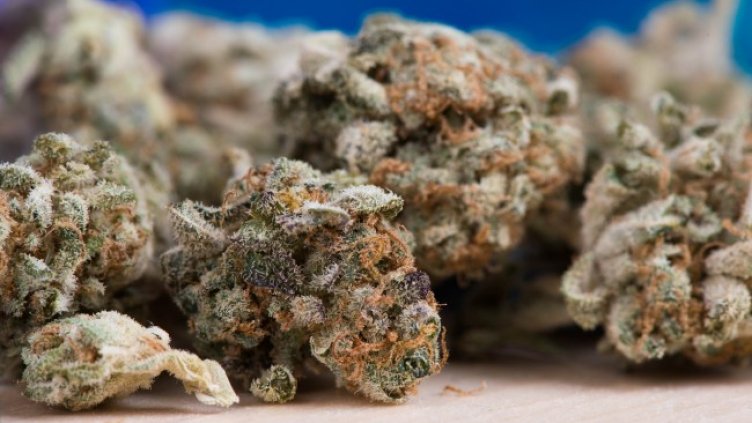 Снимка: Pixabay