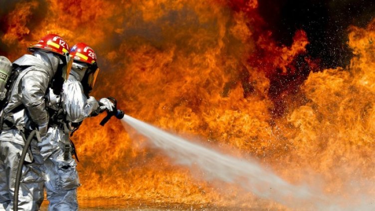 Снимка: Pixabay