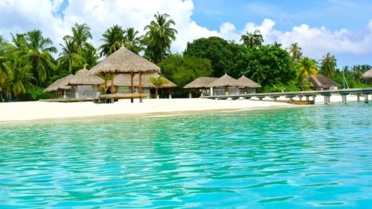 Снимка: Pixabay