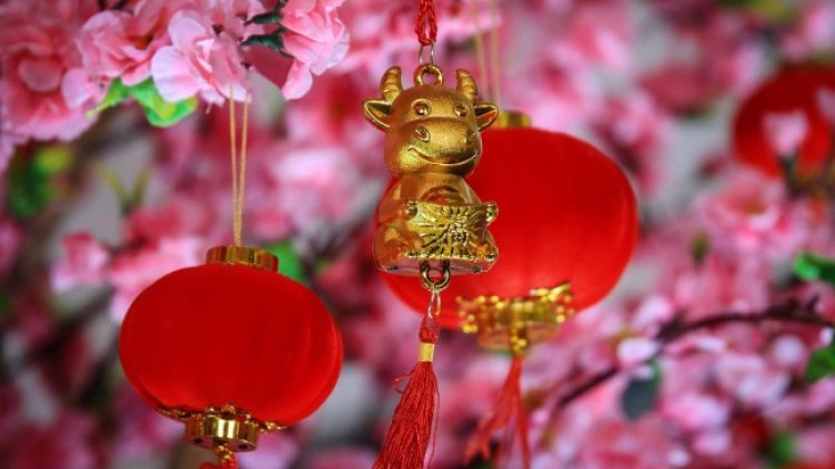 Снимка: Pixabay