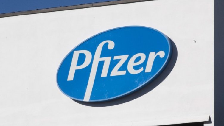 Снимка: архив, БГНЕС