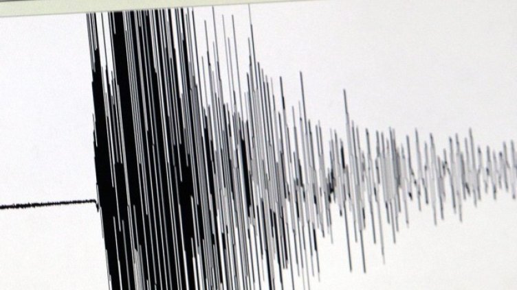 Снимка: архив, БГНЕС