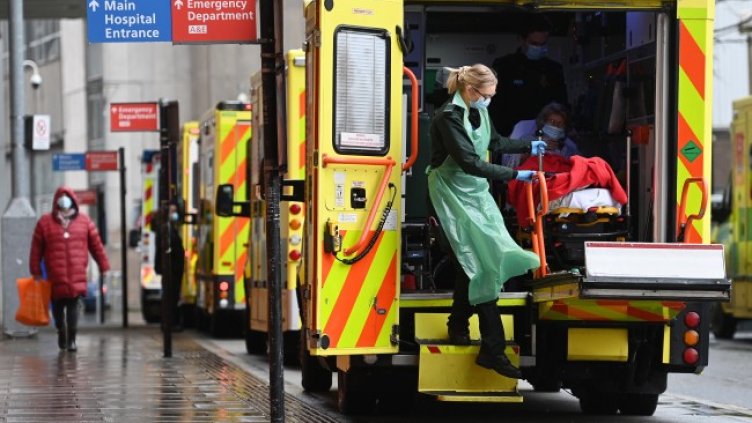 Снимка: БГНЕС