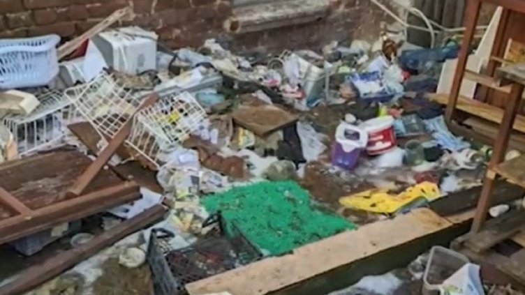 Снимка: Кадър, Нова тв