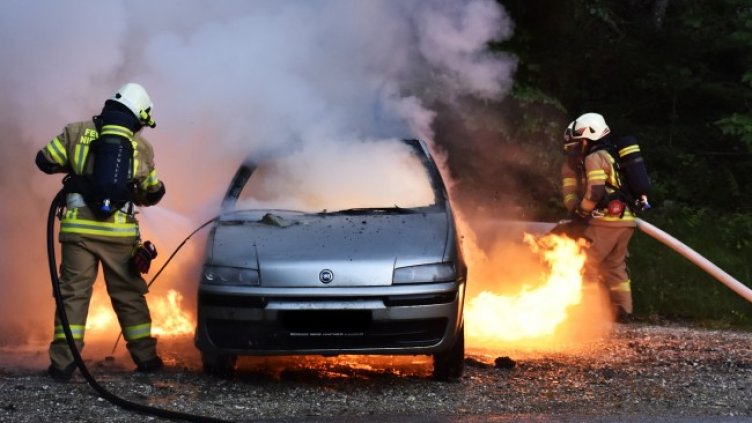 Снимка: Pixabay