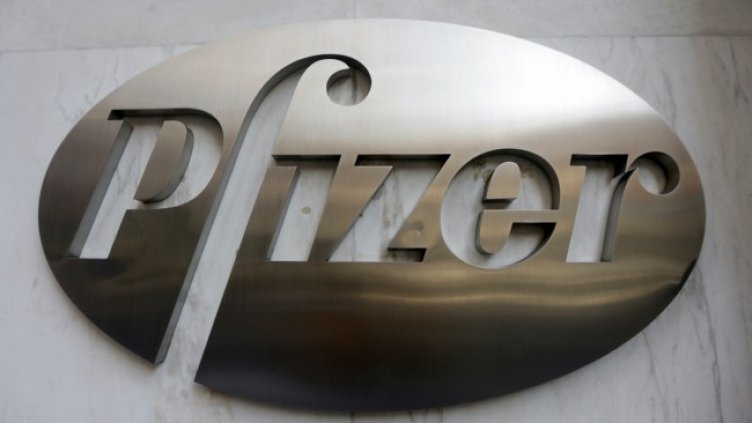 Снимка: архив, БГНЕС