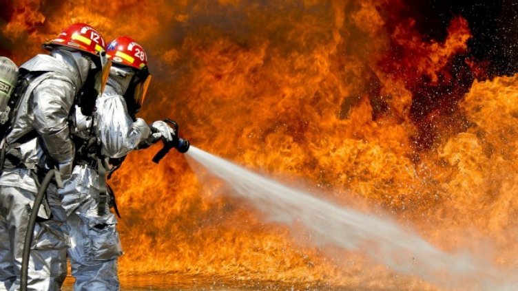 Снимка: Pixabay