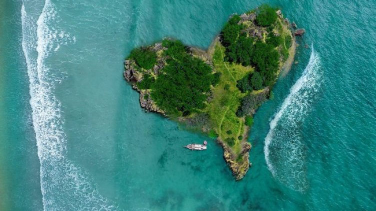 Снимка: Pixabay