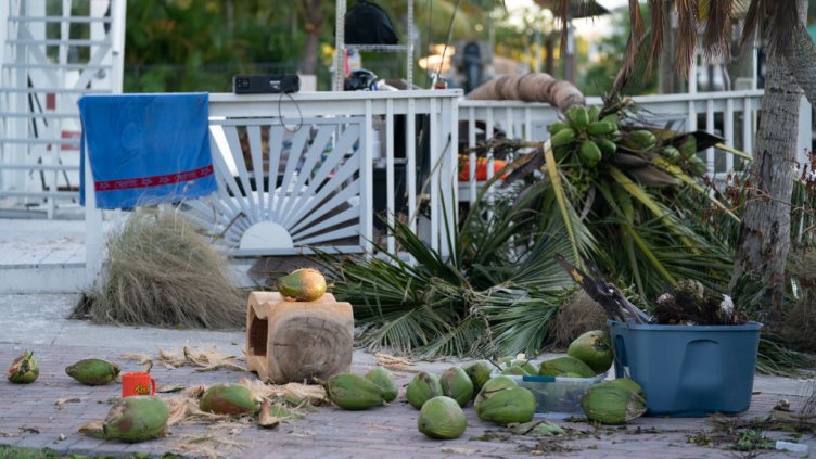 Снимка: Getty Images