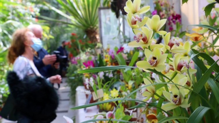 Снимка: БГНЕС