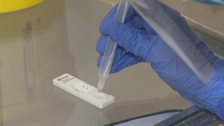 Снимка: БГНЕС