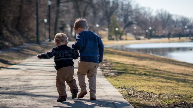 Снимка: Pixabay