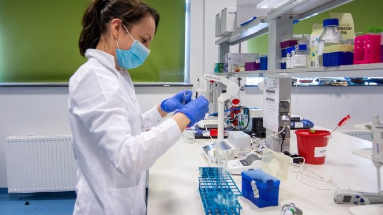 Снимка: БГНЕС