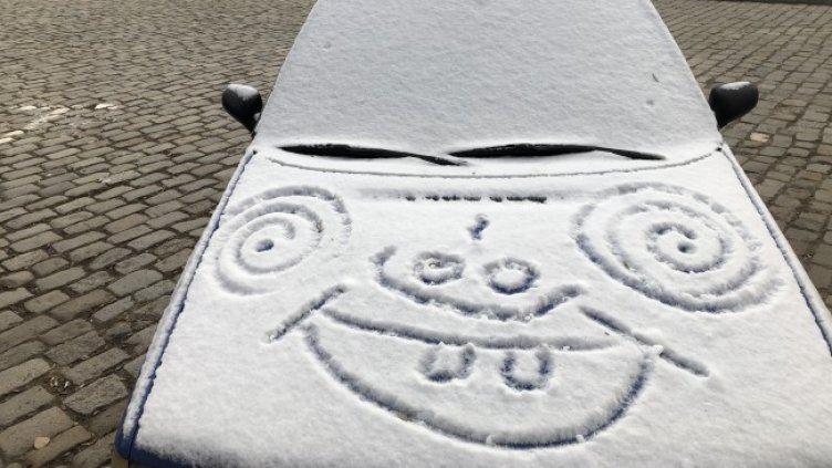 Снимка: БГНЕС