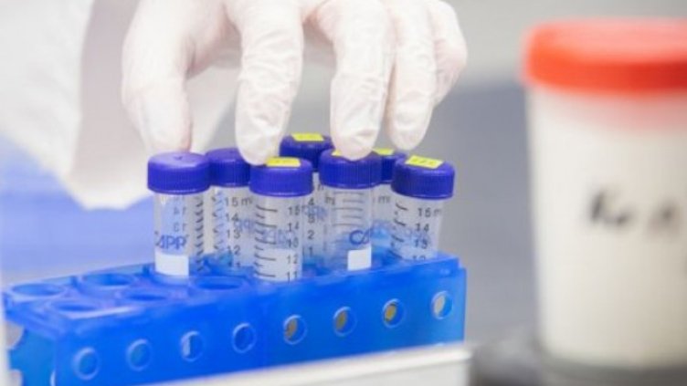 Снимка:Димитър Кьосемарлиев, Dnes.bg