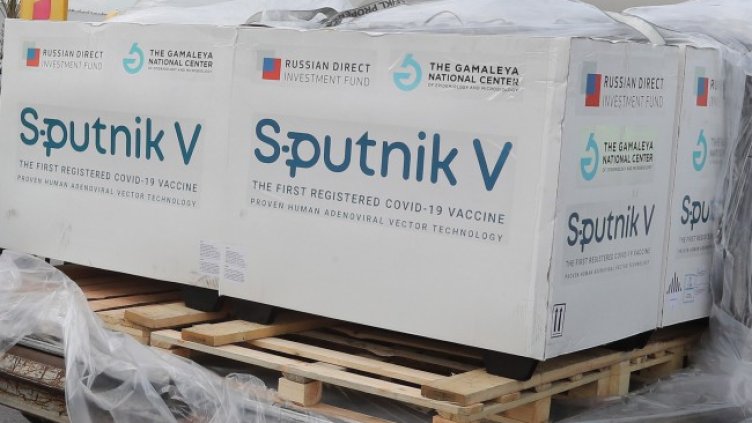 Снимка: архив, БГНЕС