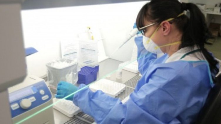 Снимка:Димитър Кьосемарлиев, Dnes.bg