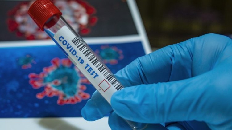 Снимка: Pixabay