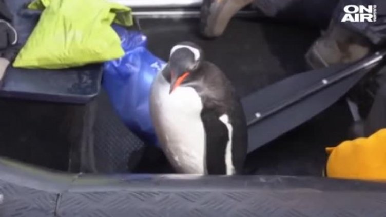 Кадър: Bulgaria ON AIR