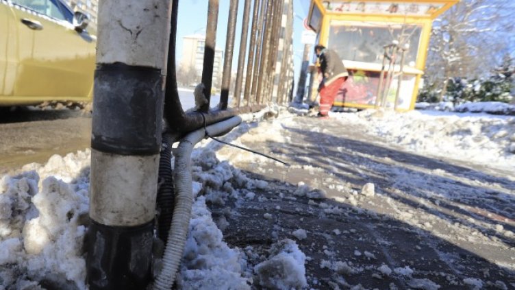 Снимка: БГНЕС