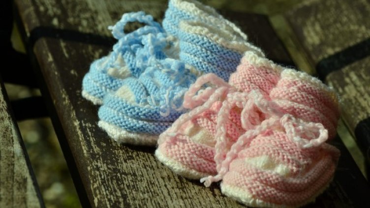 Снимка: Pixabay