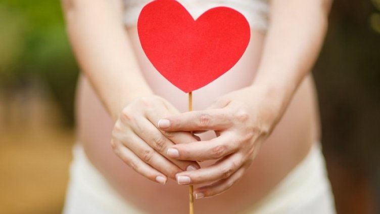 Снимка: Pixabay