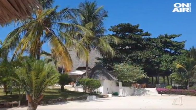 Снимка: Bulgaria ON AIR