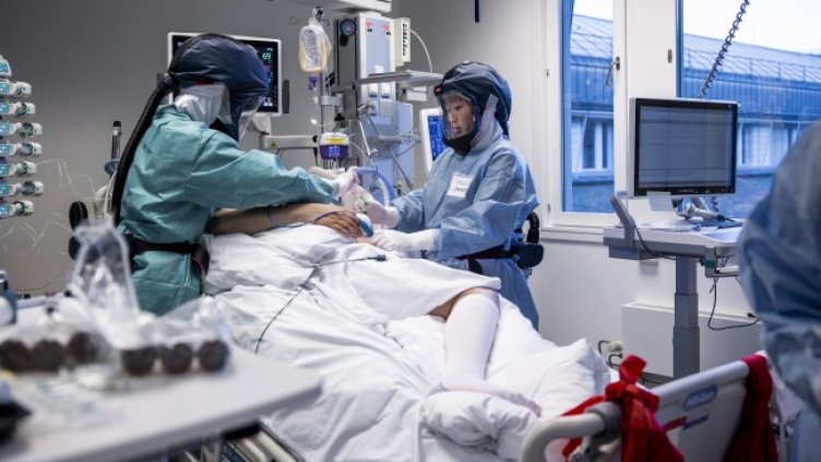 Снимка: БГНЕС