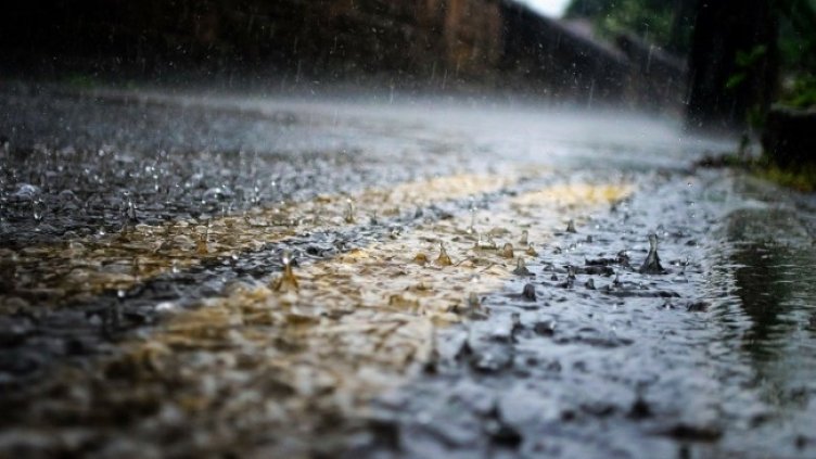 Снимка: Pixabay