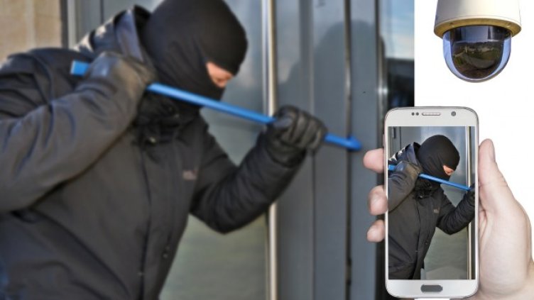 Снимка: Pixabay