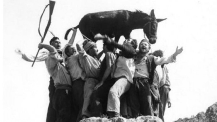 Снимка: София Филм Фест