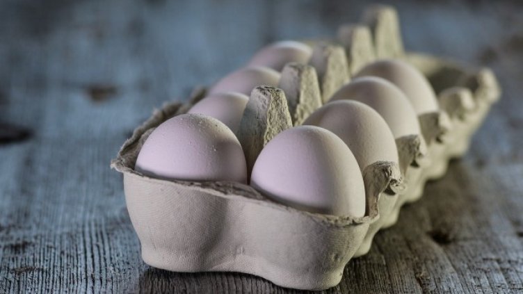 Снимка: Pixabay