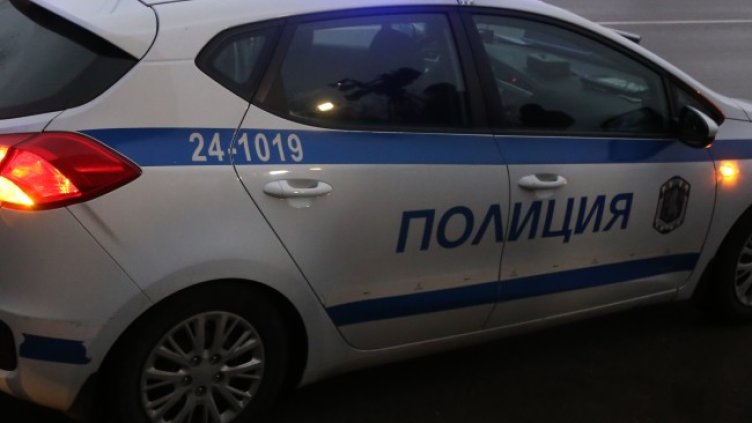 Снимка: архив, БГНЕС