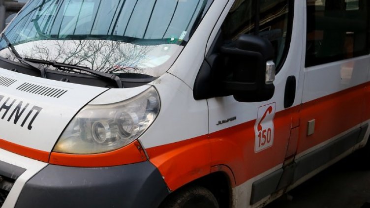 Снимка: архив, БГНЕС