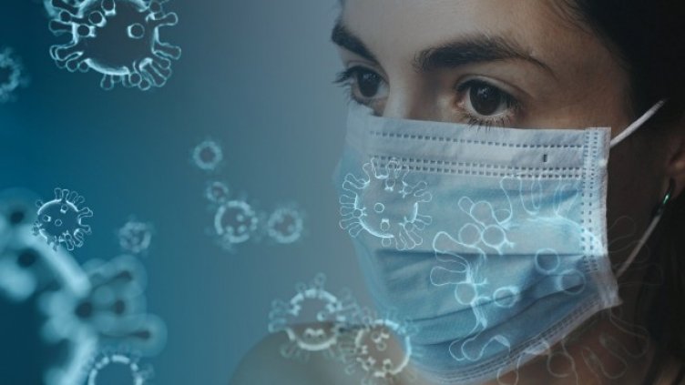 Снимка: Pixabay