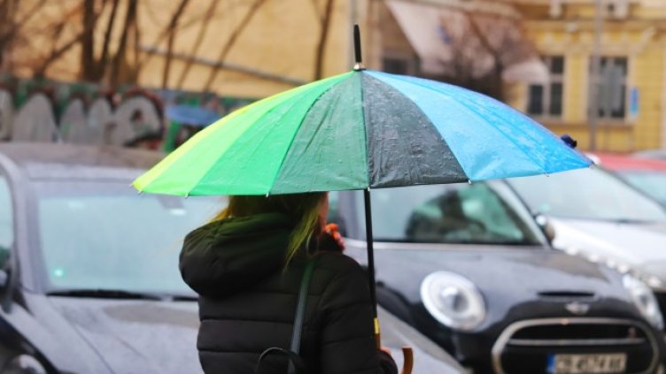 Снимка: архив, БГНЕС