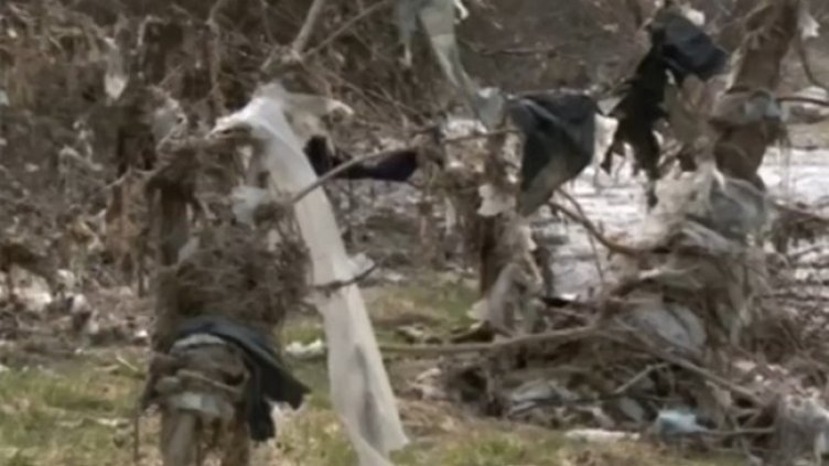 Снимка: Кадър, Нова тв