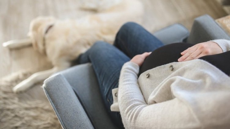 Снимка: Pixabay