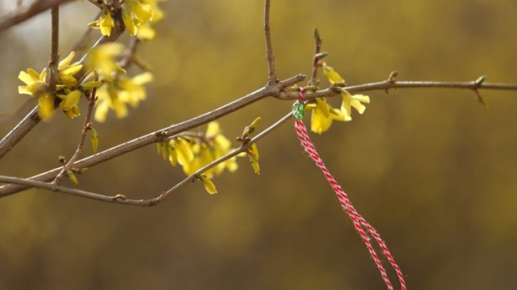 Снимка: архив, БГНЕС