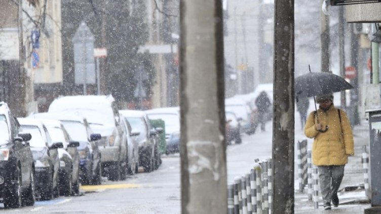 Снимка: БГНЕС