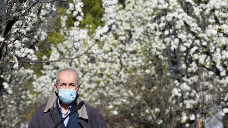 Снимка: БГНЕС