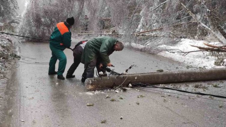 Снимка: БГНЕС