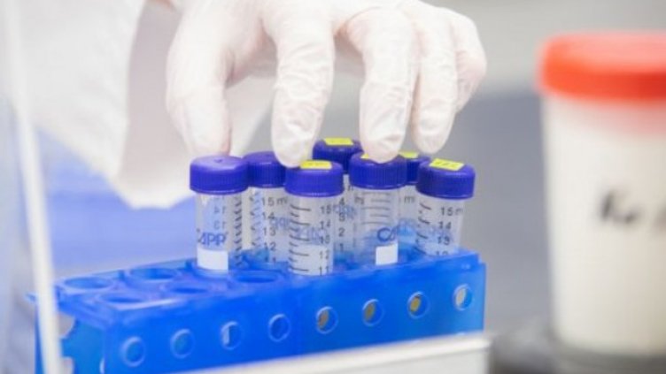 Снимка:Димитър Кьосемарлиев, Dnes.bg