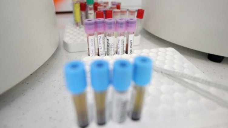 Снимка: Димитър Кьосемарлиев