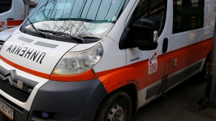 Снимка: архив, БГНЕС