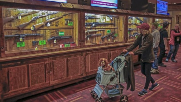 Снимка: архив, БГНЕС